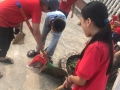 Vệ sinh đường làng ngõ xóm
